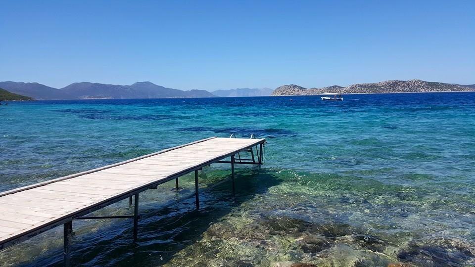 Mavi Akvaryum Pension Hotel Sogut  Exterior foto