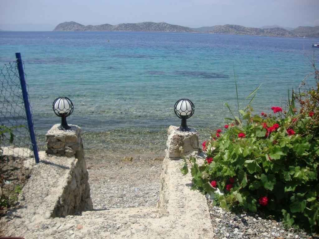 Mavi Akvaryum Pension Hotel Sogut  Exterior foto