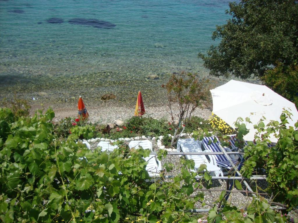 Mavi Akvaryum Pension Hotel Sogut  Exterior foto
